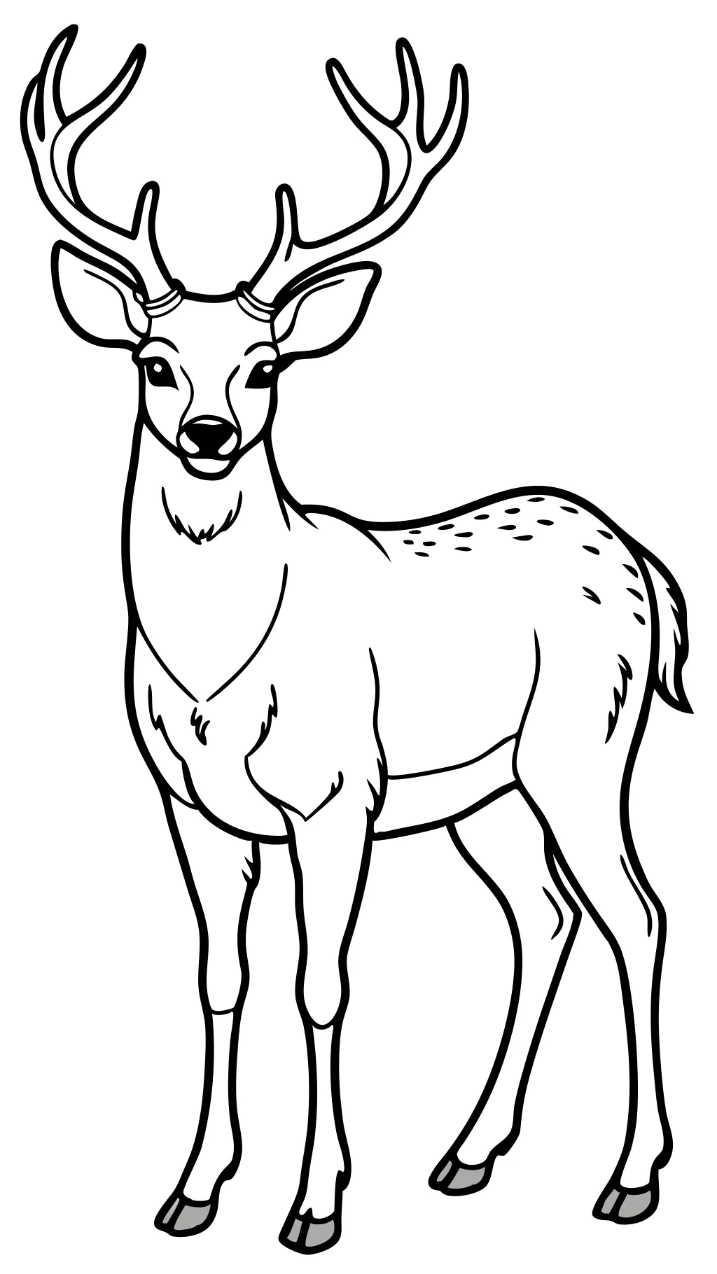 coloriages de cerfs réalistes